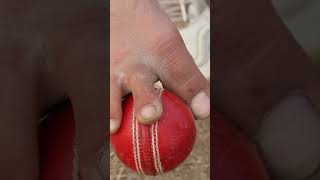 #Rishabh pant virat Kohli Amir without hands grip in ball#india #hardik #cricket