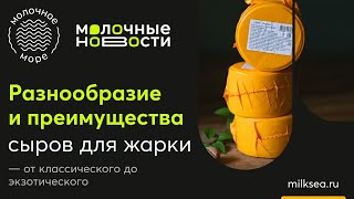 Разнообразие и преимущества сыра для жарки — от классического до экзотического