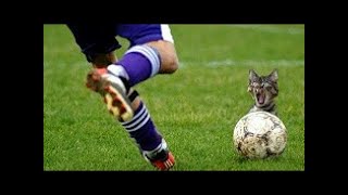 HLMusic TOP Os momentos mais ENGRAÇADOS e bizarros do FUTEBOL!!! (Comedy Football)#03