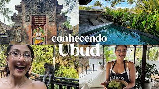 UBUD, BALI: O que fazer? Hotéis Luxuosos, Cultura, Passeios e mais! | Ludmila Sobral