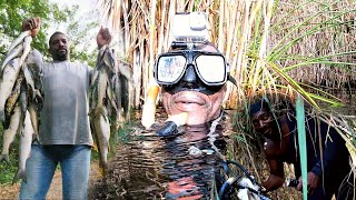 crocodile swamp fishing, story time 🐊 give man seven stitches, woman gave man bun😲