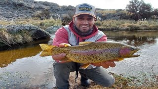 PESCA de trucha GRANDE en Córdoba| Sentimiento Pesquero