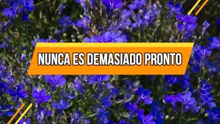 Nunca es demasiado pronto | 1 De Julio| La Buena Semilla 2024 | Meditaciones Cotidianas