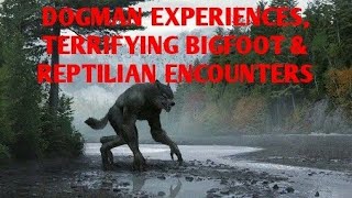 DOGMAN EXPERIENCES TERRIFYING BIGFOOT & REPTILIAN ENCOUNTERS