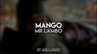 Mr Lambo - Mango / Текст песни / Караоке