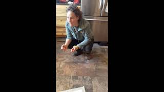 Beginning Clicker Training - SIT - 6 Week Old Sheepadoodle Puppy