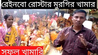 রেইনবো রোস্টার মুরগির খামার | murgi palone labh | #murgipalon  #মুরগির_খামার