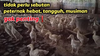 beternak sesuai kondisi pasar | lupakan sebutan peternak hebat, tangguh