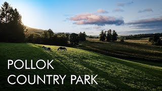 Pollok Country Park - Landscape Photography Video - DHShields