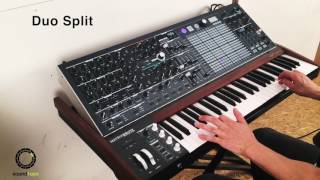 Arturia MatrixBrute #3 | Play with Paraphonic & Duo Split Mode