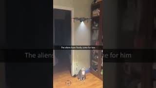 Alien Drone wants to take my cat