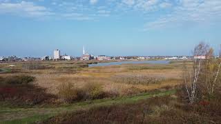 drone flight Moncton New Brunswick over the tall grass downtown at the waterfront.