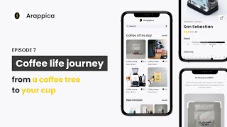 COFFEE LIFE JOURNEY - from coffee tree to your cup #coffee #roastingcoffee #startup #specialtycoffee