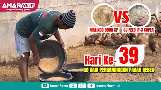 Part #39 | 60 Hari Perbandingan Malindo 9905 SP Vs CJ Feed IP-3 Super