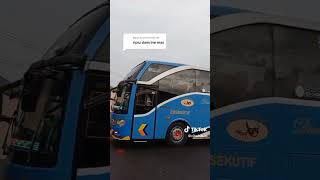 bus damri keren karoseri morodadi