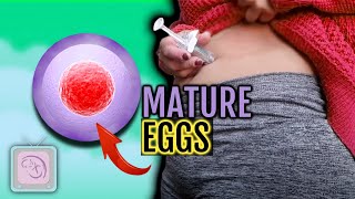 How to mature your eggs for IVF