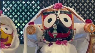 Jay Jagannath