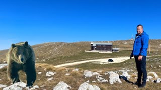 Slučajni susret sa medvjedom na Vlašiću