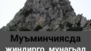 Абу Абдулваххаб(65)