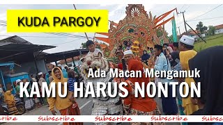 DARI KUDA PARGOY SAMPAI MACAN NGAMUK