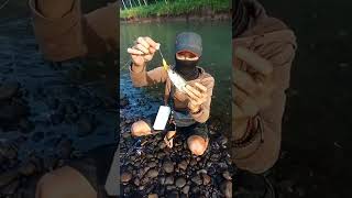 sungai brantas surut auto pesta strike✨‼️casting hampala.. 💥🎣 part20