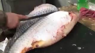 Как почистит рыбу быстро/How to clean fish quickly