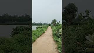 দিবর দীঘির প্রাকৃতিক সৌন্দর্য