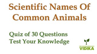 30 Questions quiz on Scientific names of common animals