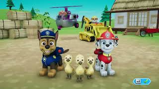 PAW PATROL dapat penghargaan bintang