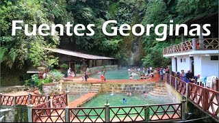 FUENTES GEORGINAS