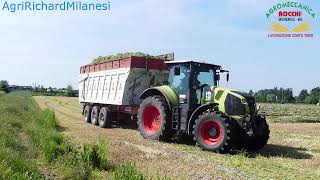 |TRINCIATURA ERBA 2021 AZIENDA AGRICOLA SONZOGNI|AGROMECCANICA ROCCHI|CLAAS-RAVIZZA-MAINARDI|😎😍💪👀🚜👏