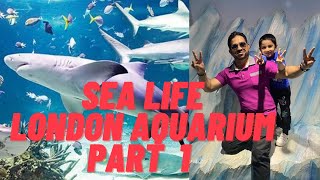 Sea life aquarium in London (part 1)