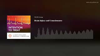 Brain Injury and Consciousness