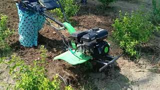 Power weeder petrol engine