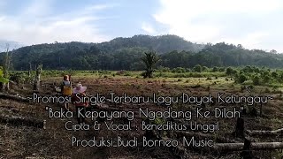 Baka Kepayang Ngadang Ke Dilah - Promo Single Terbaru-Budi Borneo Music