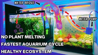 The Fastest Aquarium Cycling Technique: Explained in 1 Minute