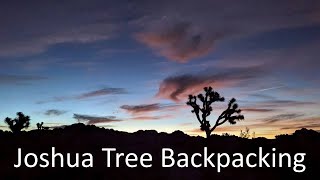 Joshua Tree 41-mile backpack (3 days)