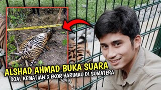 Salut! Tanggapan Alshad Ahmad Soal Kematian Tiga Ekor Harimau Sumatera