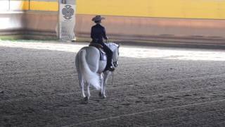 AMATEUR HORSEMANSHIP. IAF 6762