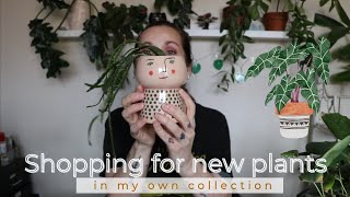 SHOPPING FOR *new* PLANTS! (with a twist)