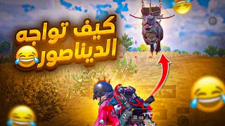 المود الجديد عباره عن هاكات وديناصور يلحقك والتقييم صار فوضى 😂 | d3S pubg mobile