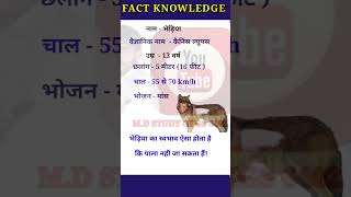 भेड़िया # wolf # shorts #ytshorts #viral video# gkfacts #knowledge