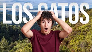 TOP 10 Things to do in Los Gatos, California 2024!