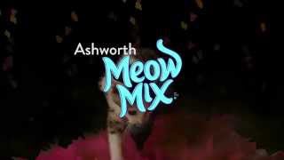 Meow Mix Song   EDM Cat Remix by Ashworth 1080p