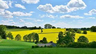 Opuštajuća muzika koja liječi stres,🌿 anksioznost i depresivna stanja,🍀 liječi um