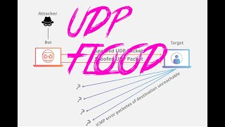 How works the UDP Flood with download link