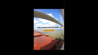 Ship passing under the Bridge in Shanghai river | Merchant Navy | Shorts