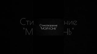 Я как странник ходил по земле