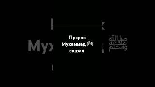 Пророк Мухаммад ﷺ сказал.#религия #islam #напоминание