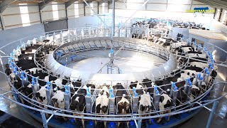 The Incredible Rotary Milking Parlour from Dairymaster!